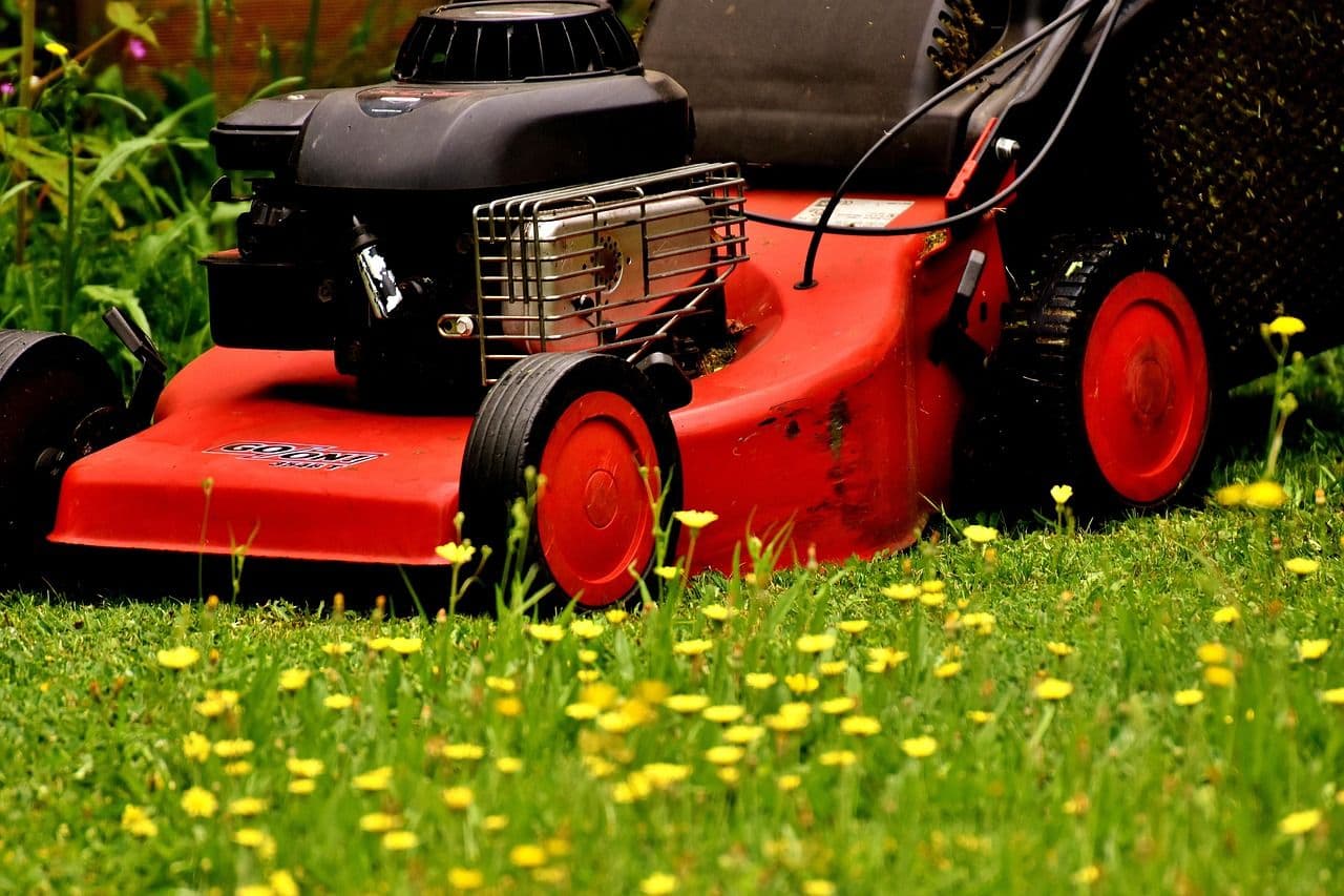 Lawn mower cutting green grass, illustrating how does a lawn mower work