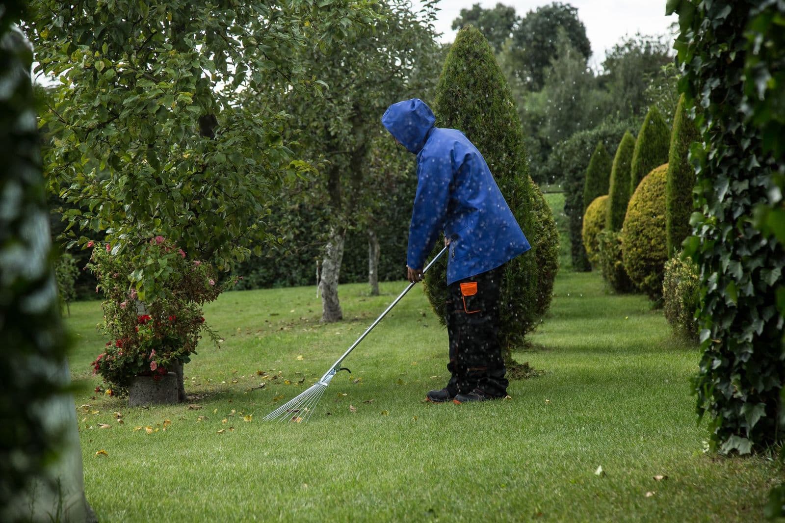 Gardener gathering autumn leaves in a park, the job a leaf vacuum makes faster, showing how does a leaf vacuum work