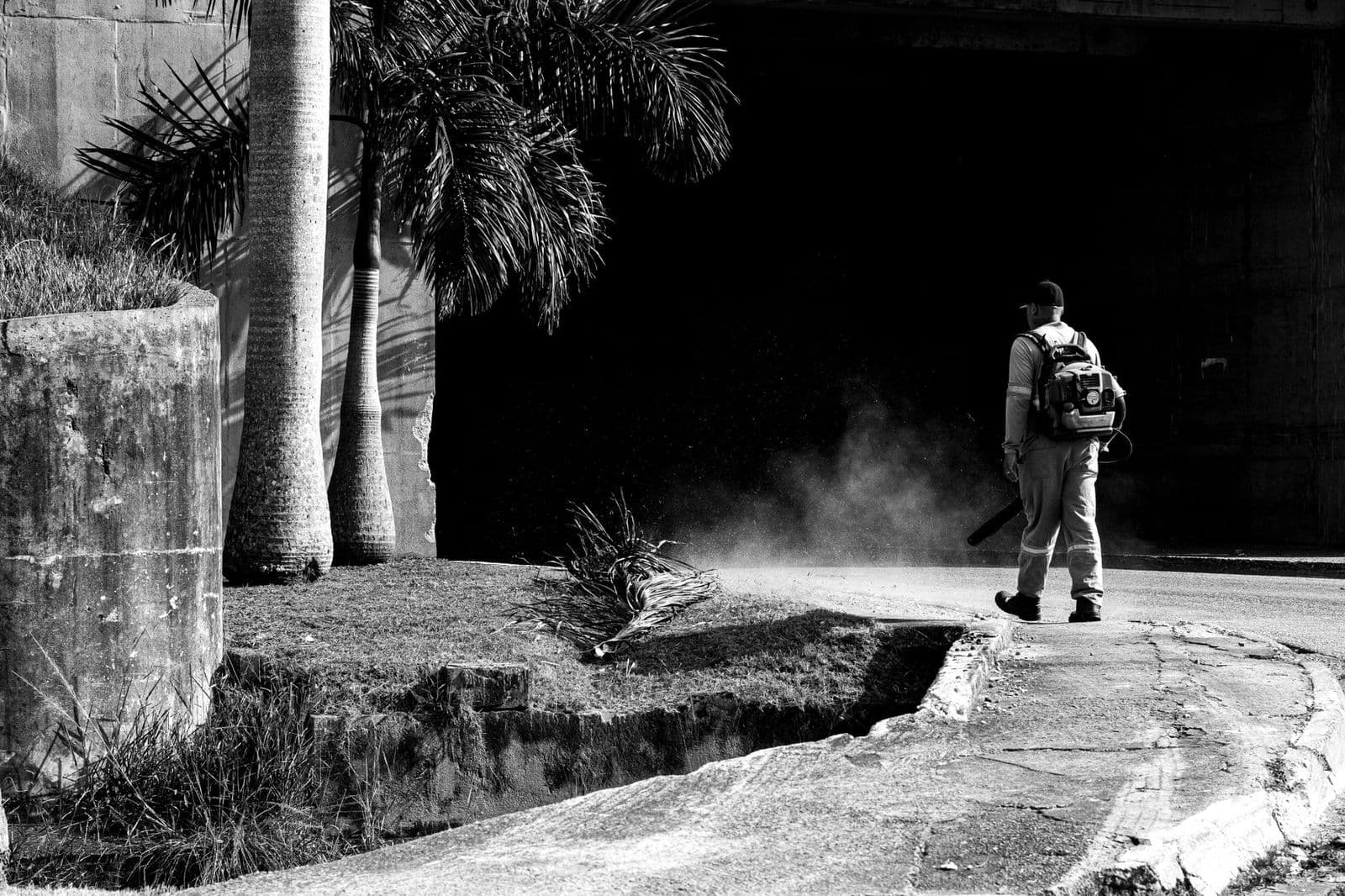 Worker using a leaf blower along a city street, showing how much does a leaf blower cost in real use
