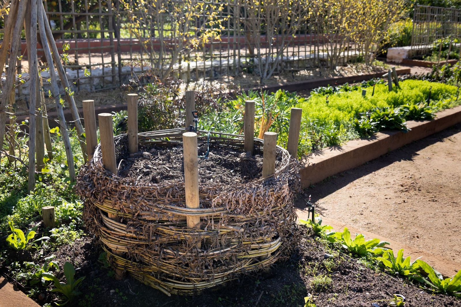 How to Use a Compost Bin: Simple Steps, Tips and Mistakes to Avoid