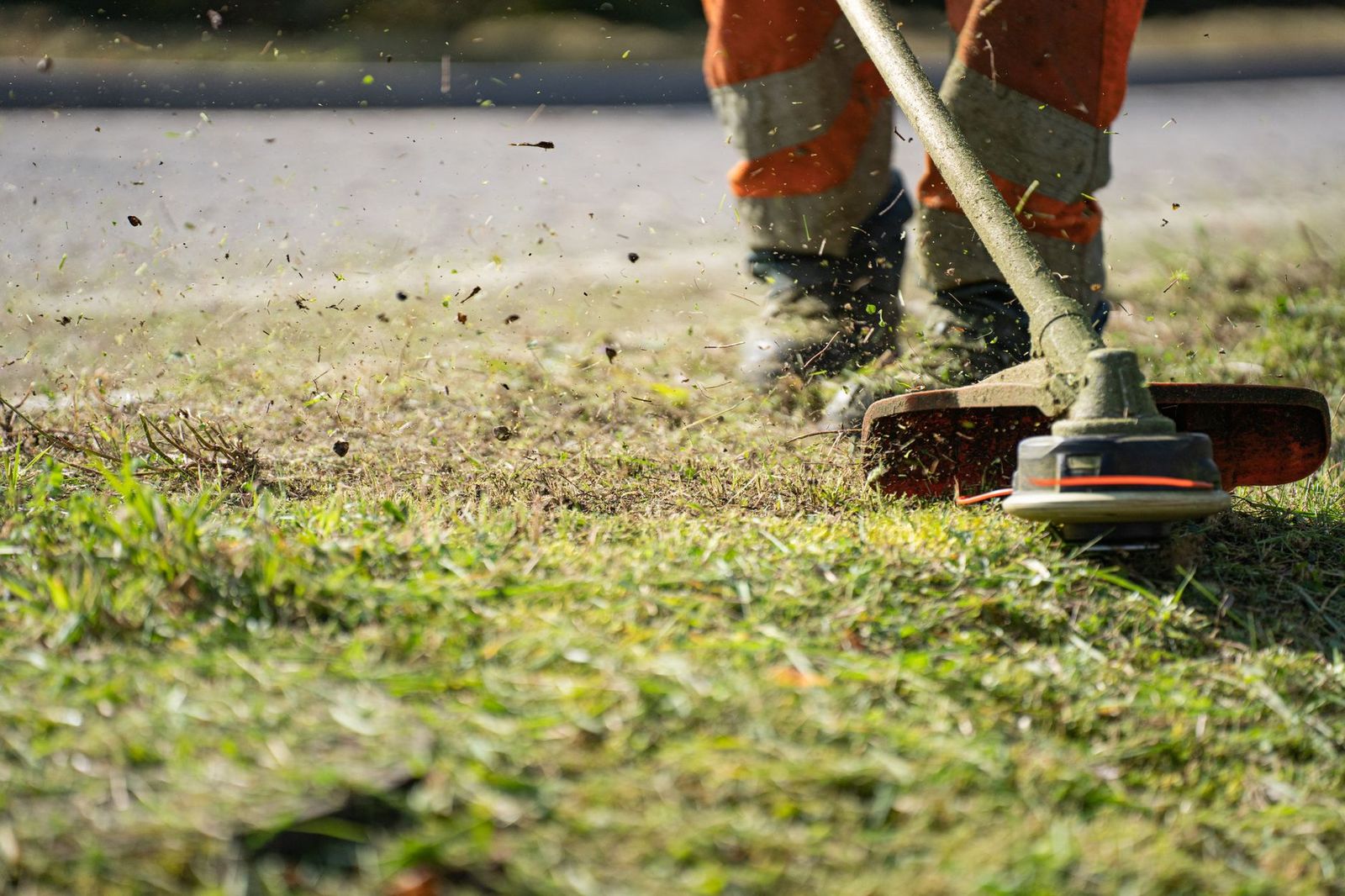 How to Use a Weed Eater: Simple Steps, Tips and Mistakes to Avoid
